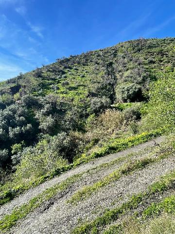 Imagen 4 Inmueble 300814 - Solar Rústico en venta en Almuñécar / Rio Seco Bajo, almuñecar, zona rustica bien ubicada