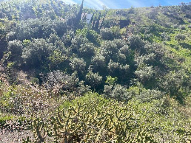 Imagen 5 Inmueble 300814 - Solar Rústico en venta en Almuñécar / Rio Seco Bajo, almuñecar, zona rustica bien ubicada