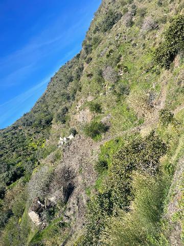 Imagen 6 Inmueble 300814 - Solar Rústico en venta en Almuñécar / Rio Seco Bajo, almuñecar, zona rustica bien ubicada