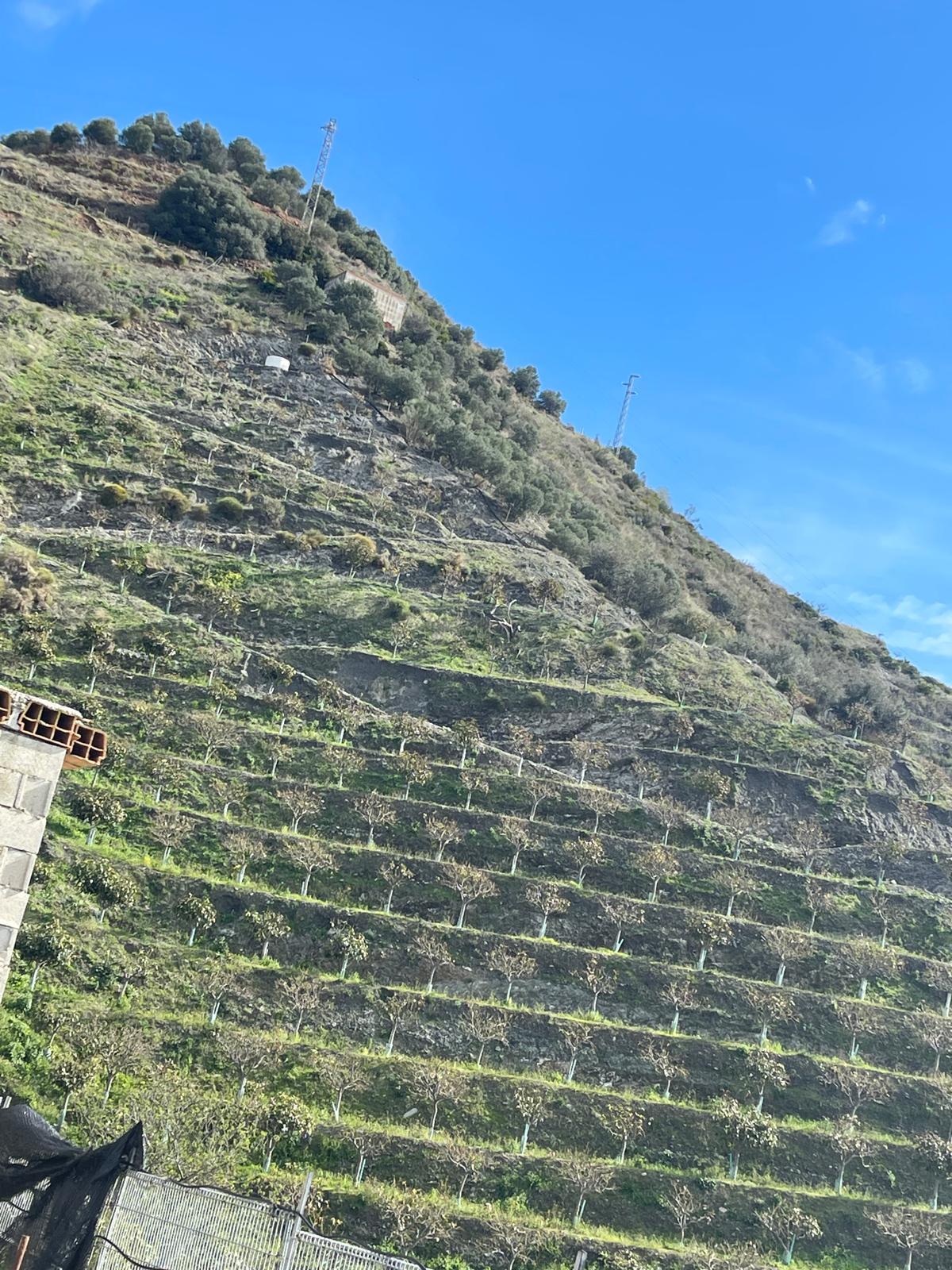 Imagen 3 Solar Urbano en venta en Almuñécar / Pago de Guerra sn