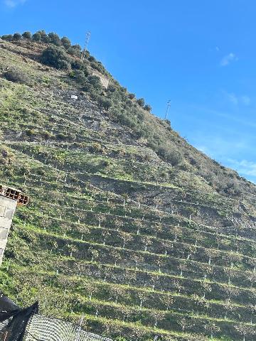 Imagen 3 Inmueble 301878 - Solar Urbano en venta en Almuñécar / Pago de Guerra sn