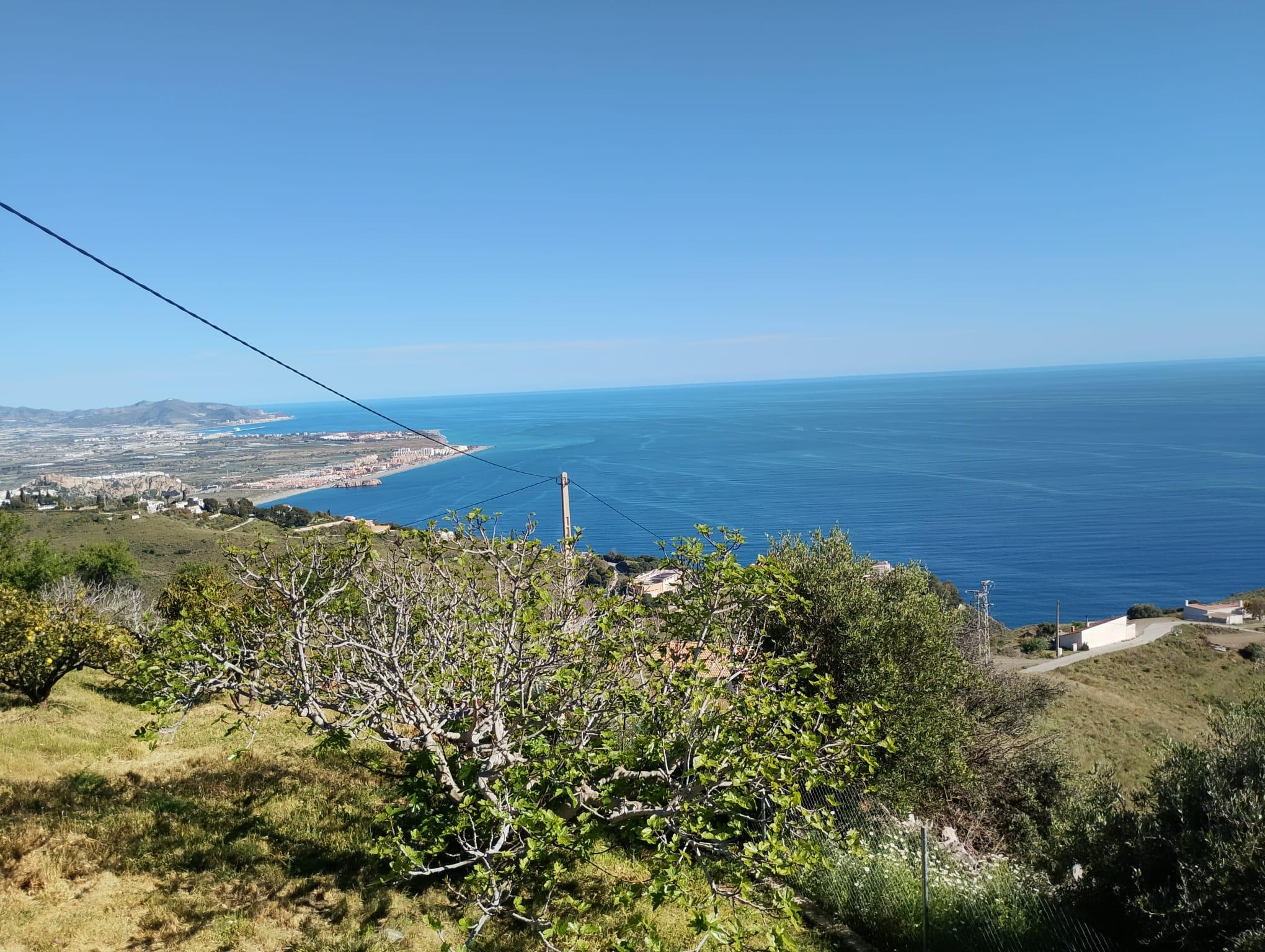 Imagen 9 Solar Urbano en venta en Salobreña / Urbanizacion Alfamar 7