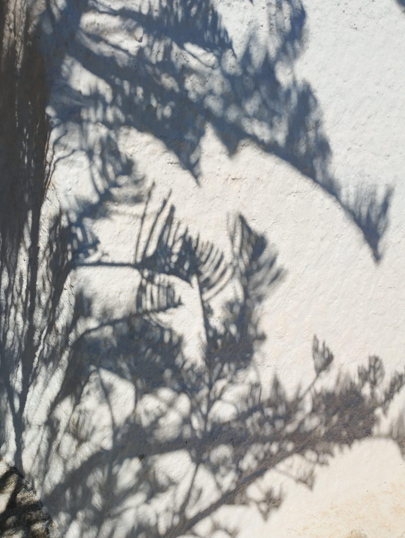 Imagen 16 Solar Urbano en venta en Salobreña / Urbanizacion Alfamar 7