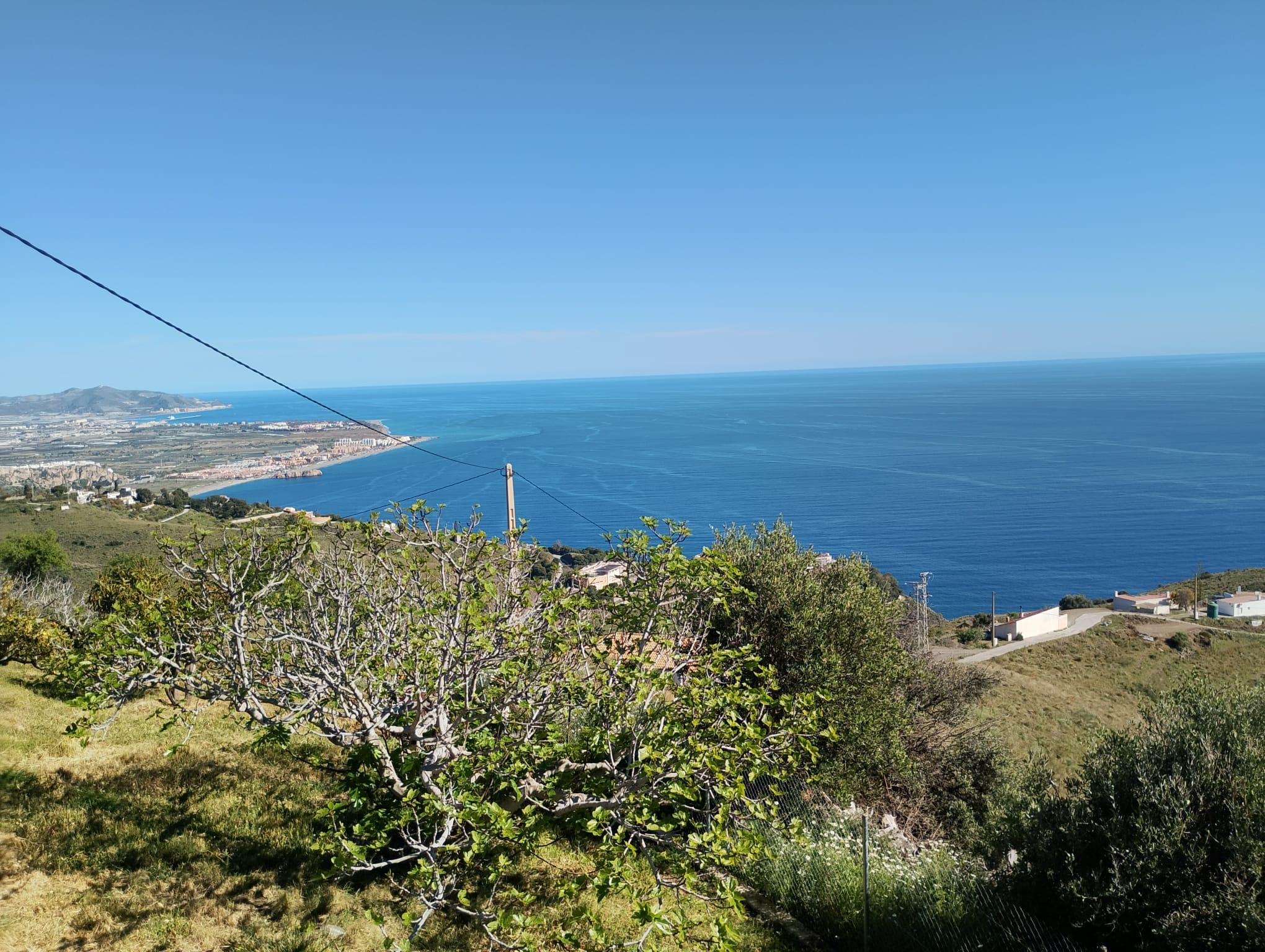 Imagen 18 Solar Urbano en venta en Salobreña / Urbanizacion Alfamar 7