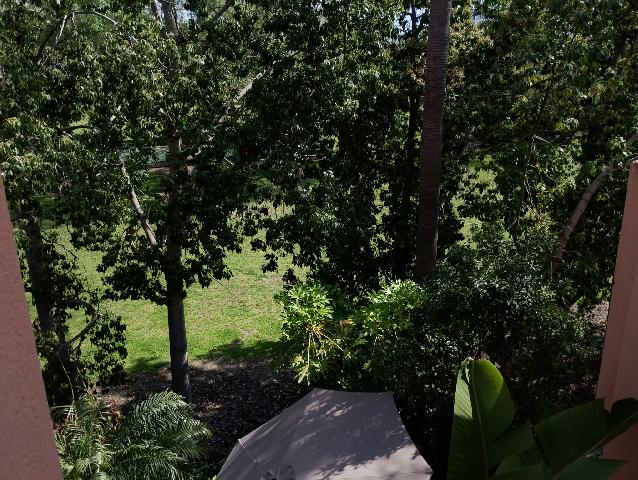 Imagen 6 Inmueble 302661 - Casa Pareada en venta en Motril / Calle Rector j dios lopez gonzalez,52