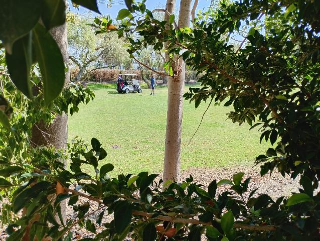 Imagen 9 Inmueble 302661 - Casa Pareada en venta en Motril / Calle Rector j dios lopez gonzalez,52