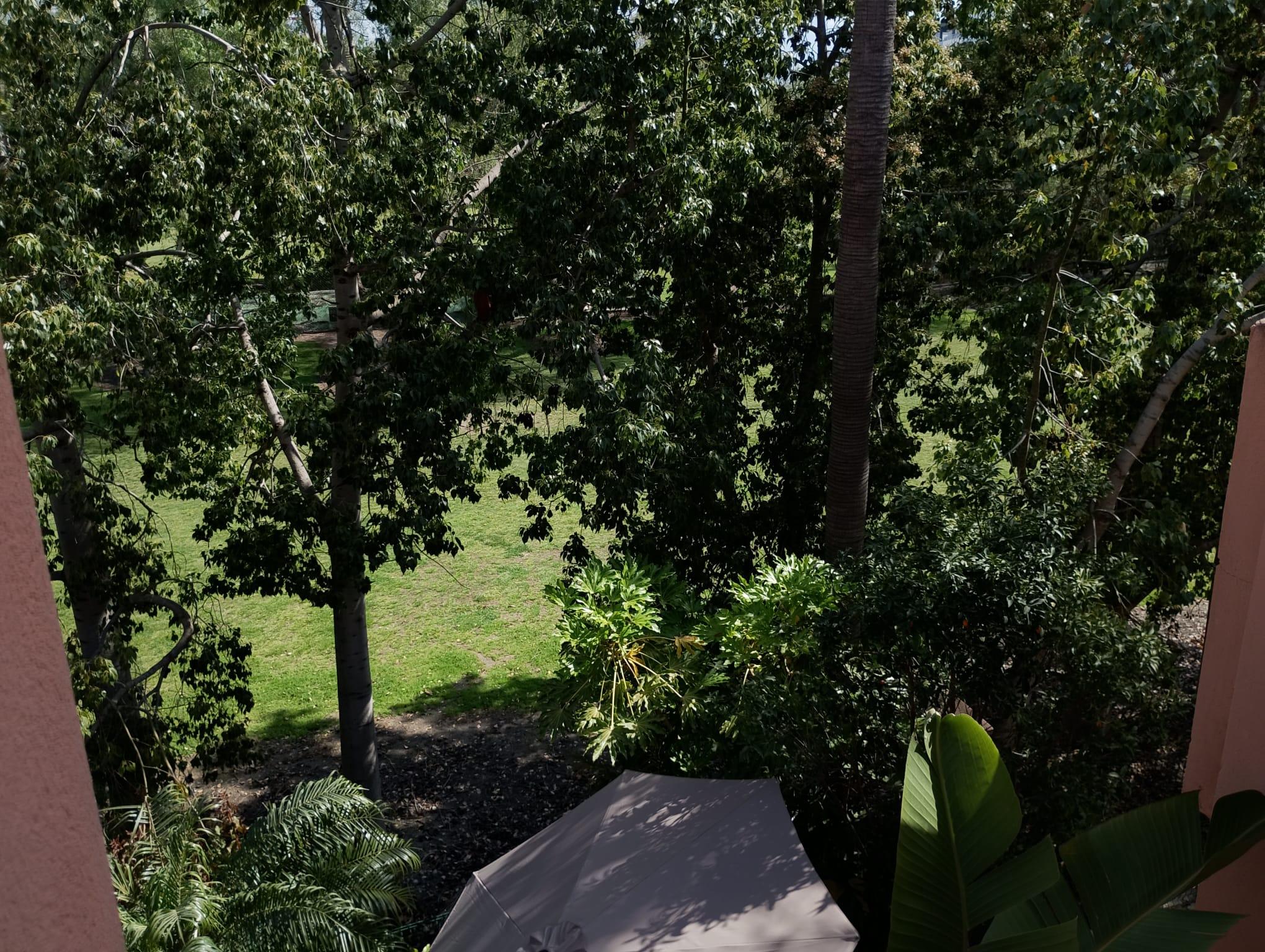 Imagen 23 Casa Pareada en venta en Motril / Calle Rector j dios lopez gonzalez,52