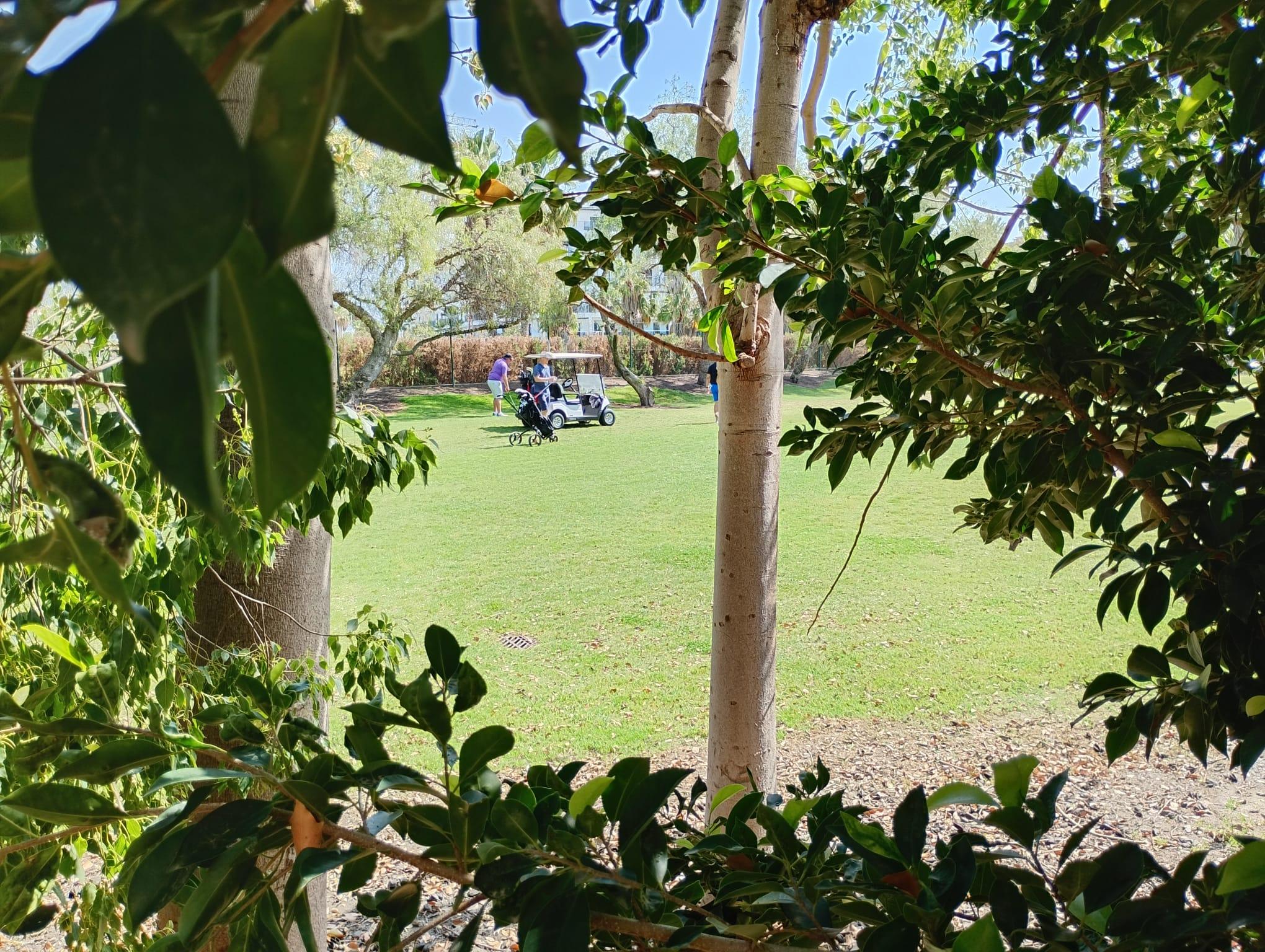 Imagen 27 Casa Pareada en venta en Motril / Calle Rector j dios lopez gonzalez,52