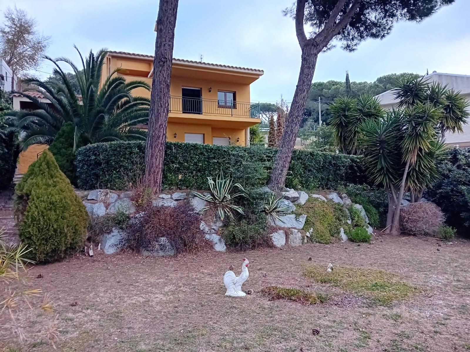 Imagen 13 Casa en venta en Dosrius / A 5 minutos del Ayuntamiento de Dosrius.