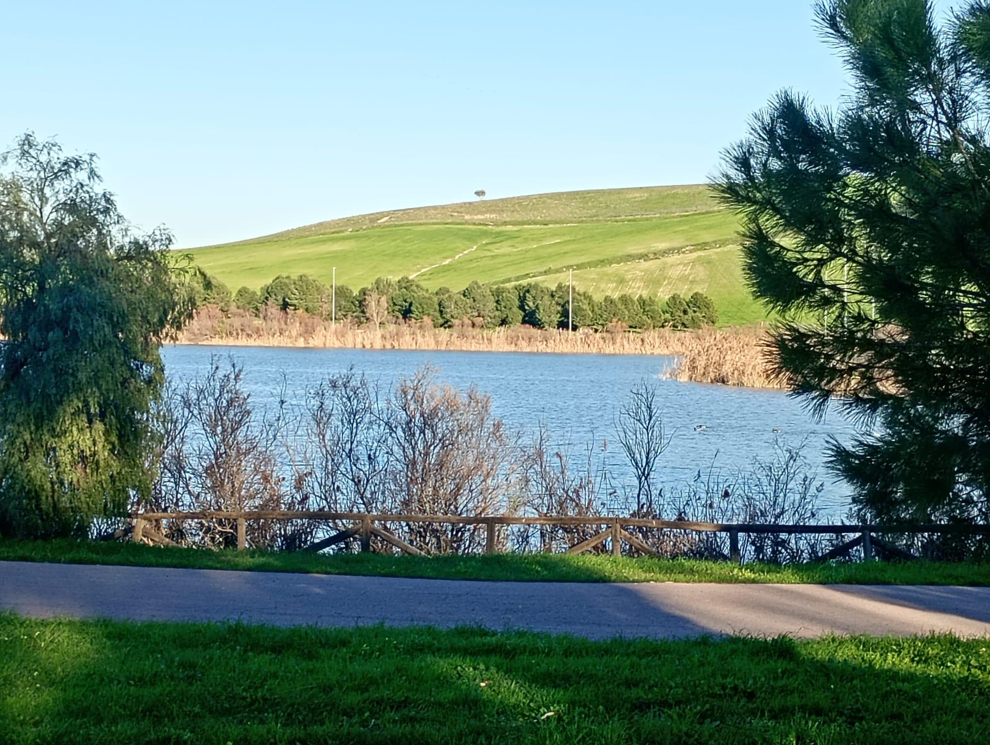 Imagen 16 Apartamento en venta en Jerez De La Frontera / Ubicado cerca del parque Cherry golf Jerez