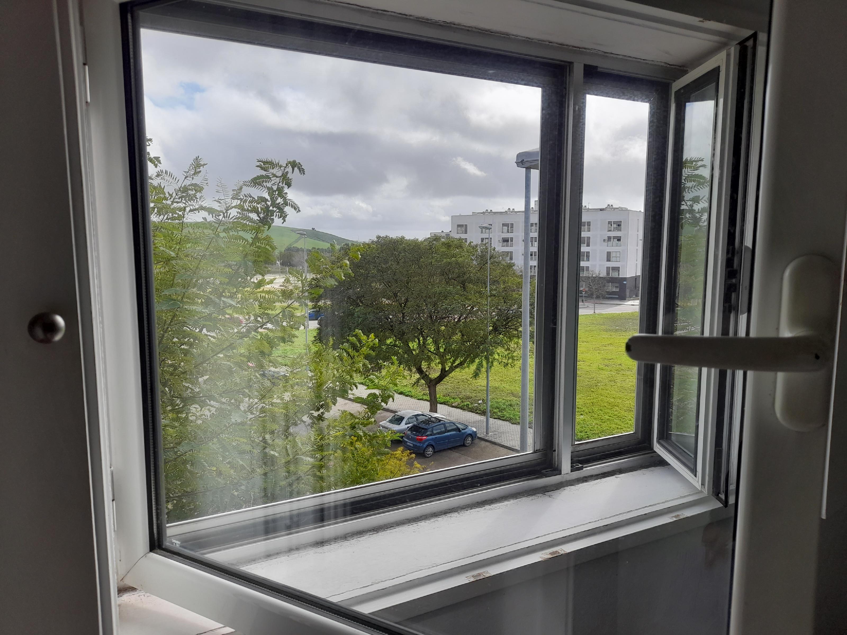 Imagen 11 Apartamento en venta en Jerez De La Frontera / Ubicado cerca del parque Cherry golf Jerez