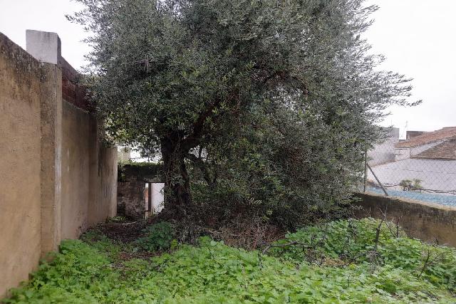 Imagen 1 Inmueble 300884 - Casa Adosada en venta en Bornos / Cerca de la pza. de S. Francisco y iglesia S.Domingo