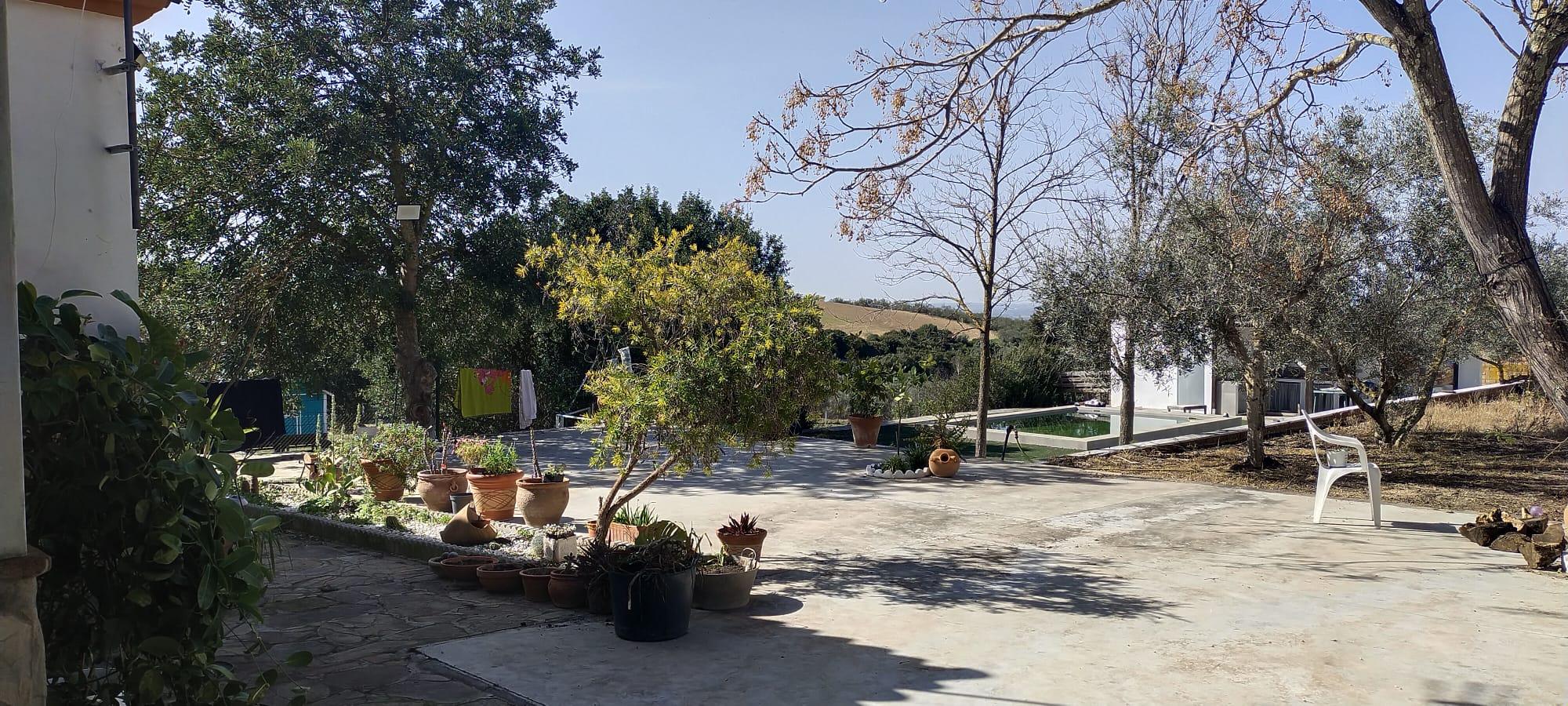 Imagen 12 Casa Aislada en venta en Arcos De La Frontera / Cruce de villa martin