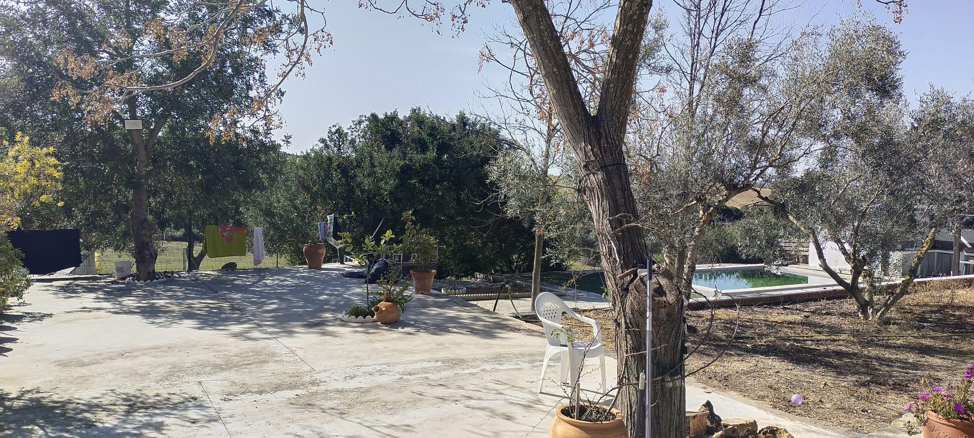 Imagen 16 Casa Aislada en venta en Arcos De La Frontera / Cruce de villa martin