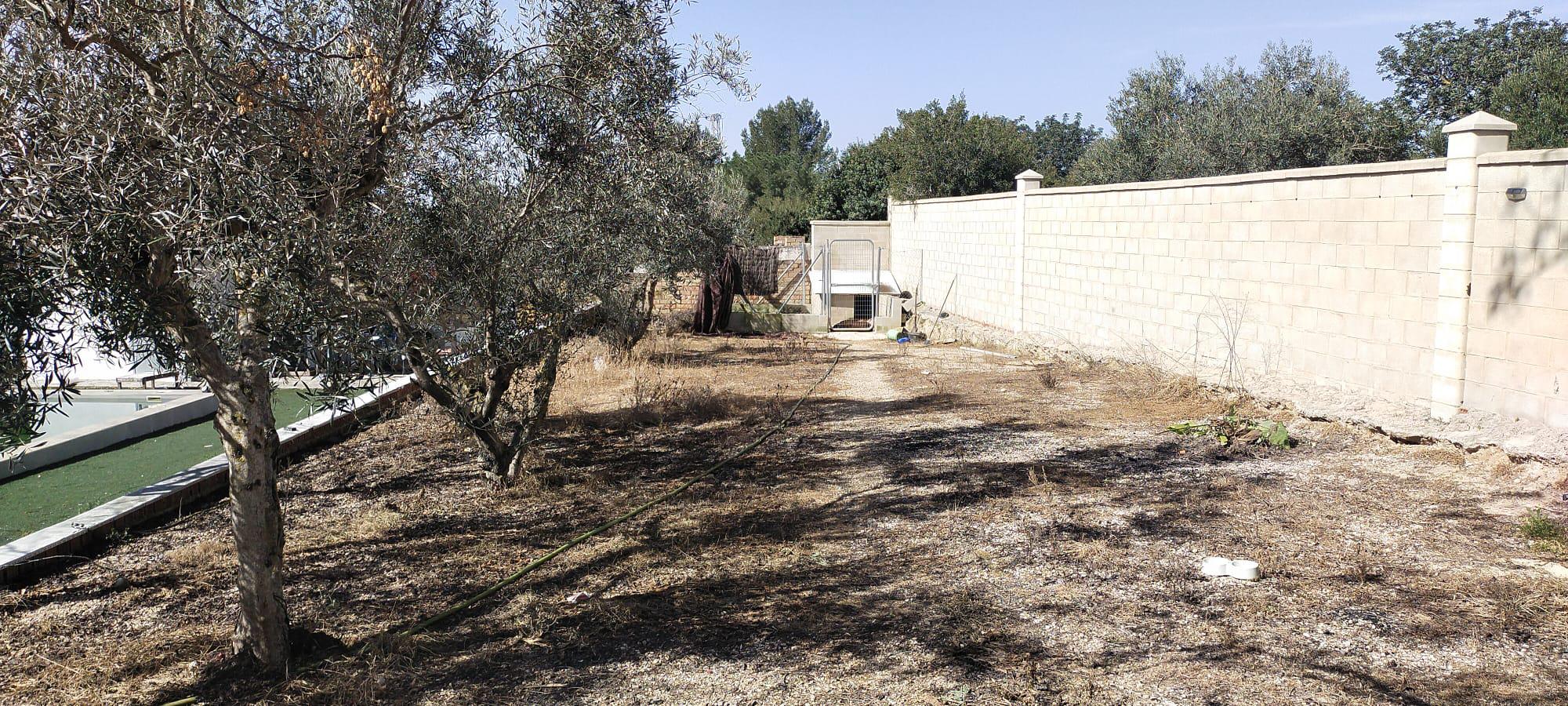 Imagen 19 Casa Aislada en venta en Arcos De La Frontera / Cruce de villa martin