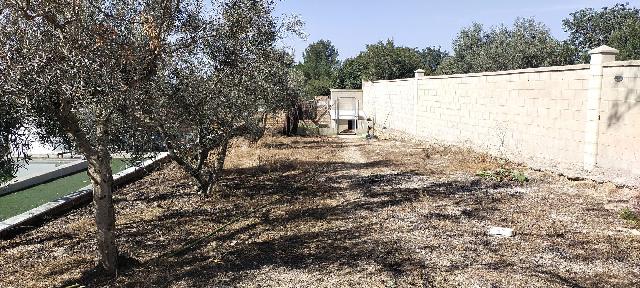 Imagen 19 Inmueble 300913 - Casa Aislada en venta en Arcos De La Frontera / Cruce de villa martin