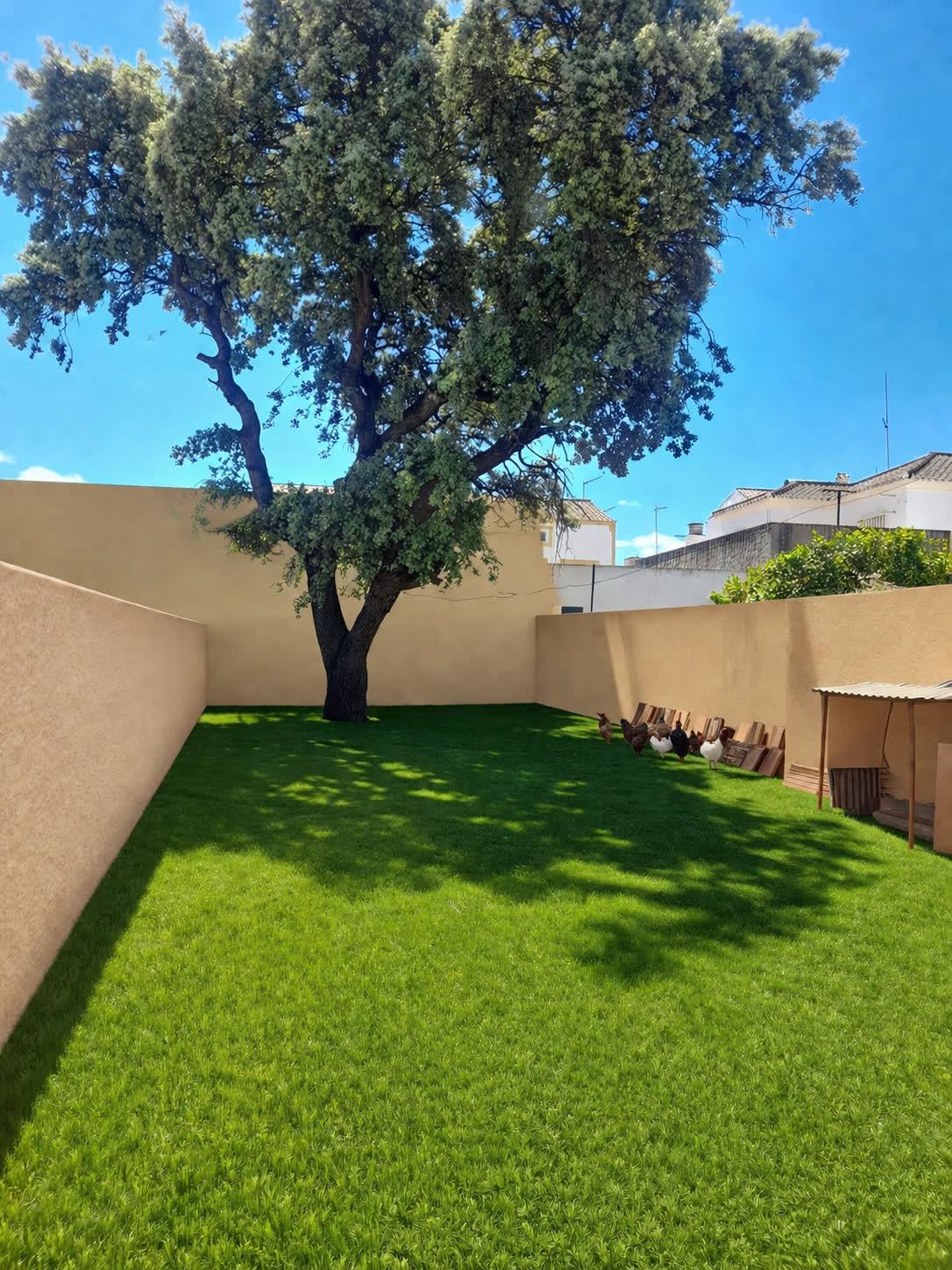 Imagen 15 Casa Adosada en venta en Bornos / A pocos metros de la Ermita del Calvario
