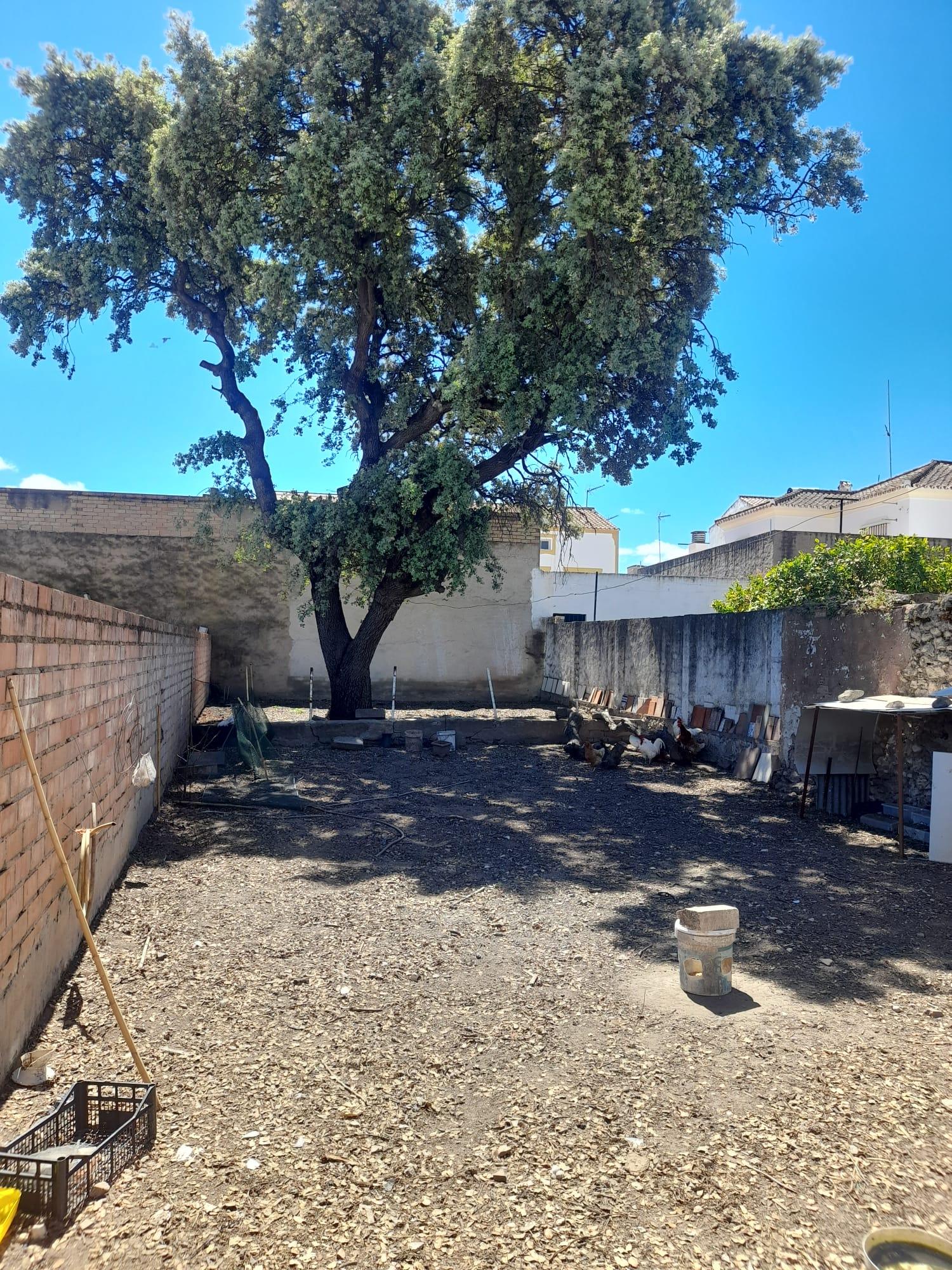 Imagen 1 Casa Adosada en venta en Bornos / A pocos metros de la Ermita del Calvario