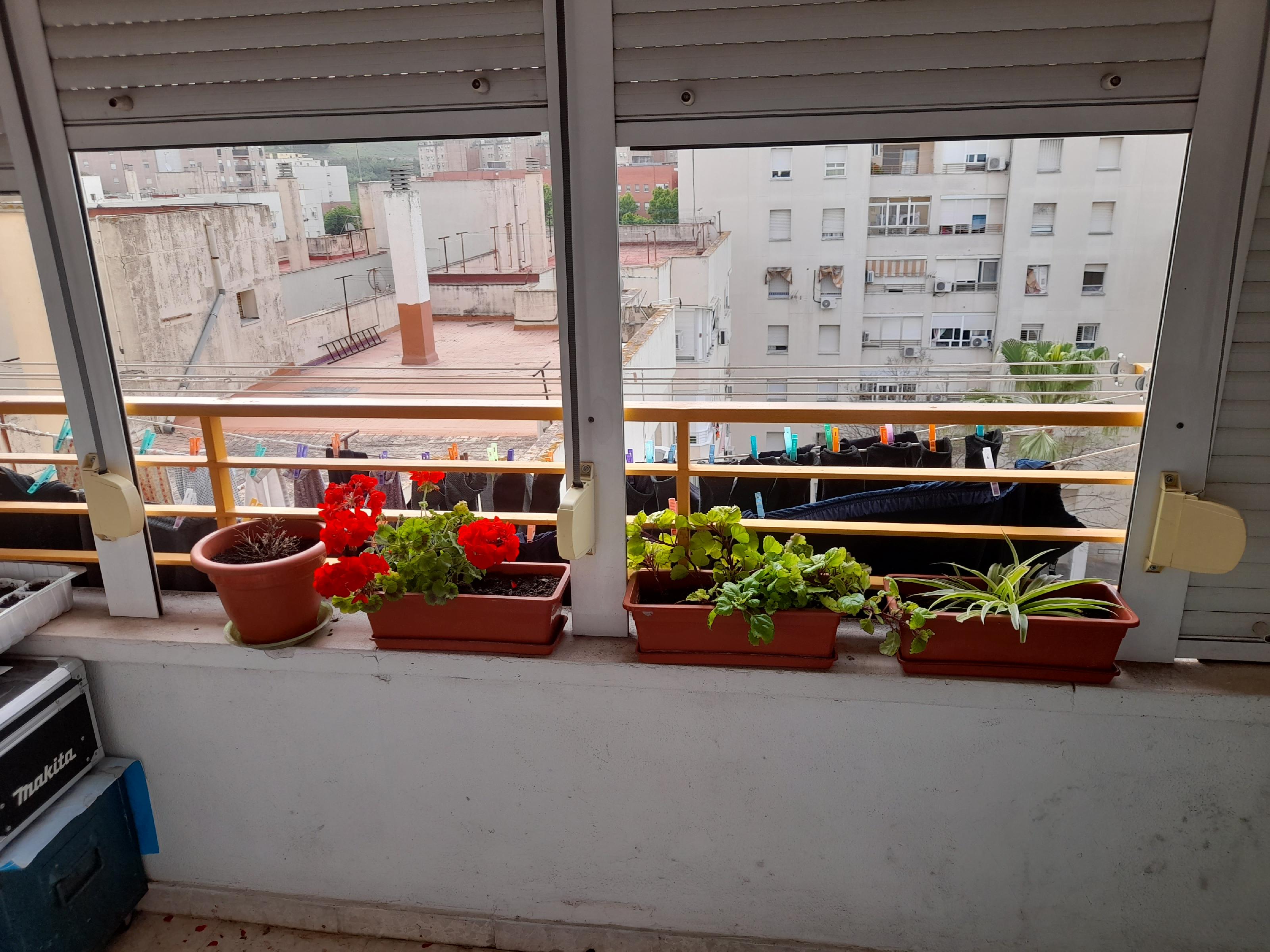 Imagen 6 Apartamento en venta en Jerez De La Frontera / Muy cerca de los restos del balneario de Jerez 