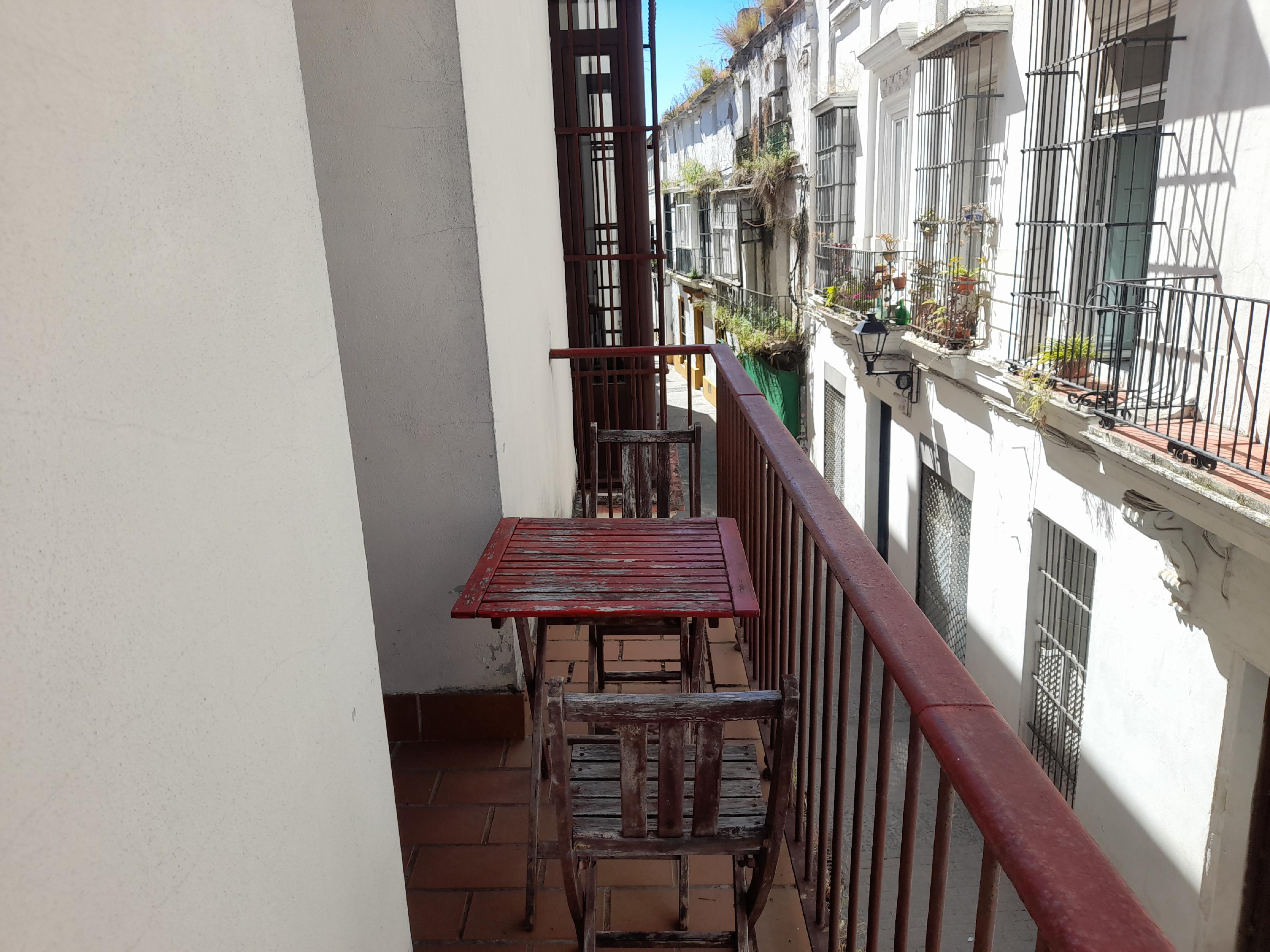 Imagen 13 Apartamento en venta en Jerez De La Frontera / A 300 metros de la Plaza Plateros 
