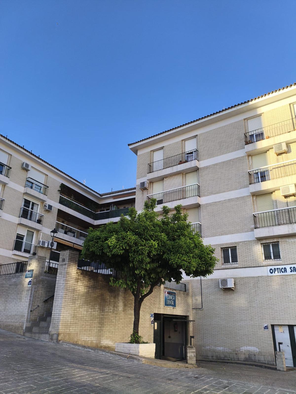 Imagen 8 Piso en venta en Jerez De La Frontera / A 100 metros de la Catedral de Jerez de la Frontera