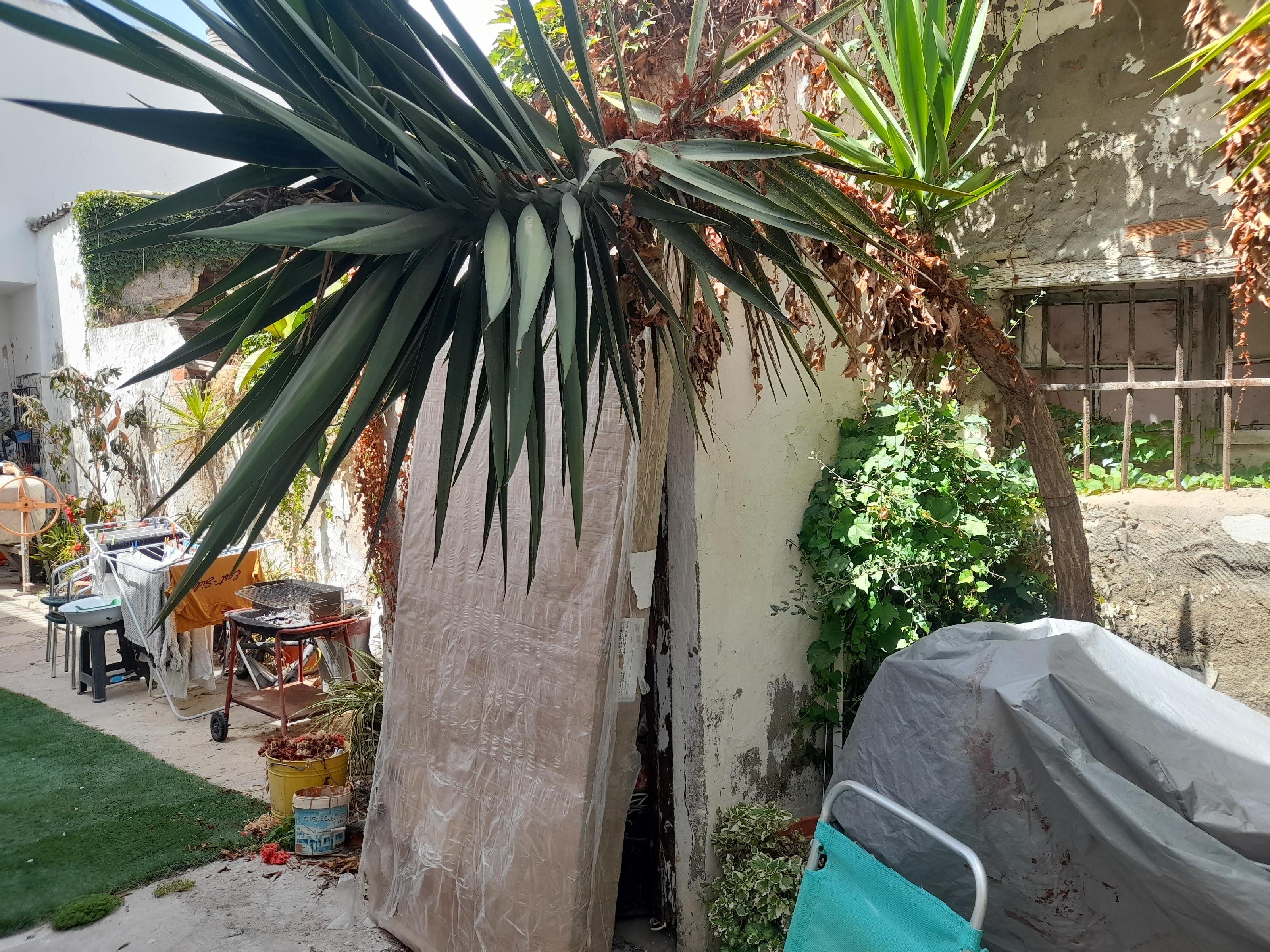 Imagen 7 Solar Urbano en venta en Puerto De Santa María El / Cerca de Asamblea Cristiana y Sala M...