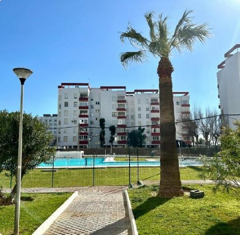 Imagen 16 Inmueble 305049 - Planta Baja en venta en Puerto De Santa María (El) / A escasos 100 metros la playa Valdela...