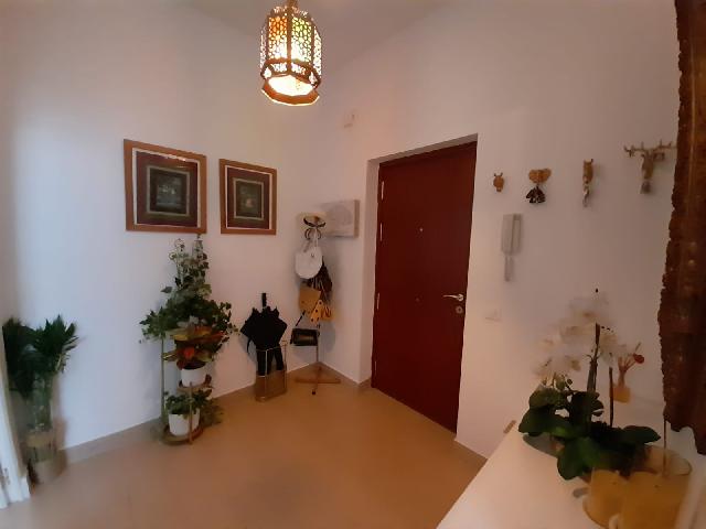 Imagen 2 Inmueble 305566 - Planta Baja en venta en Jerez De La Frontera / A 130 metros de la Calle Larga 