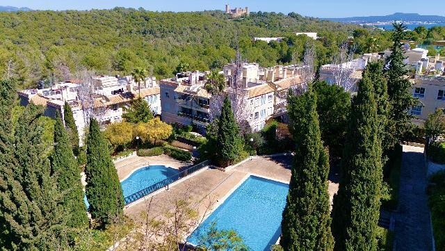 Imagen 25 Inmueble 301014 - Piso en venta en Palma / En Bonanova ,.Cerca del  Castillo de  Bellver,  