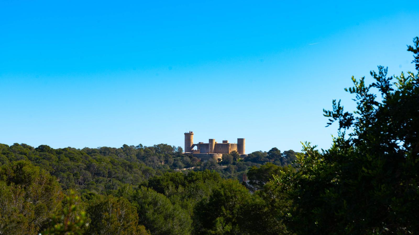 Imagen 17 Piso en venta en Palma / En Bonanova ,.Cerca del  Castillo de  Bellver,  