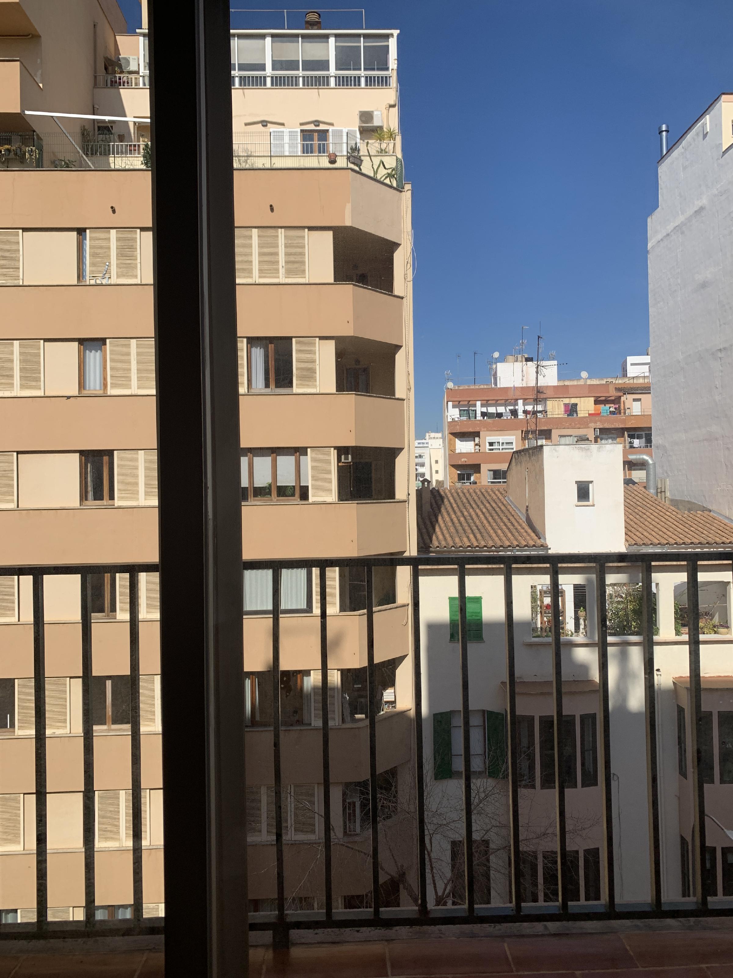 Imagen 2 Piso en venta en Palma / Calle  31 de diciembre.  Centro Palma