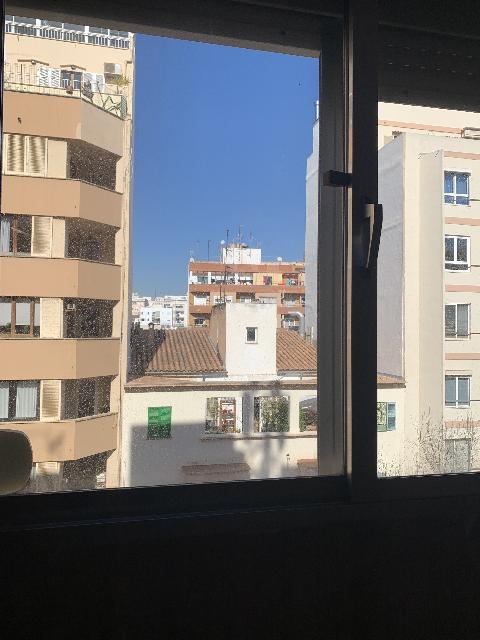 Imagen 8 Inmueble 301080 - Piso en venta en Palma / Calle  31 de diciembre.  Centro Palma