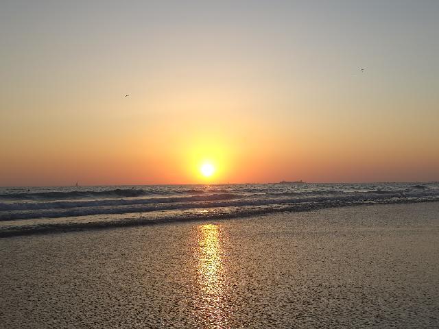 Imagen 3 Inmueble 301158 - Casa Rústica en venta en Chiclana De La Frontera / Situada cerca de la Venta el Florin.