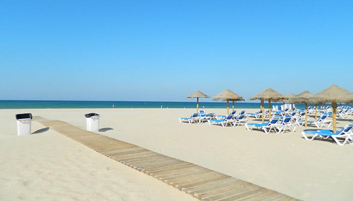 Imagen 3 Casa Rústica en venta en Conil De La Frontera / Situada cerca de la n.4 a su paso por Coni...