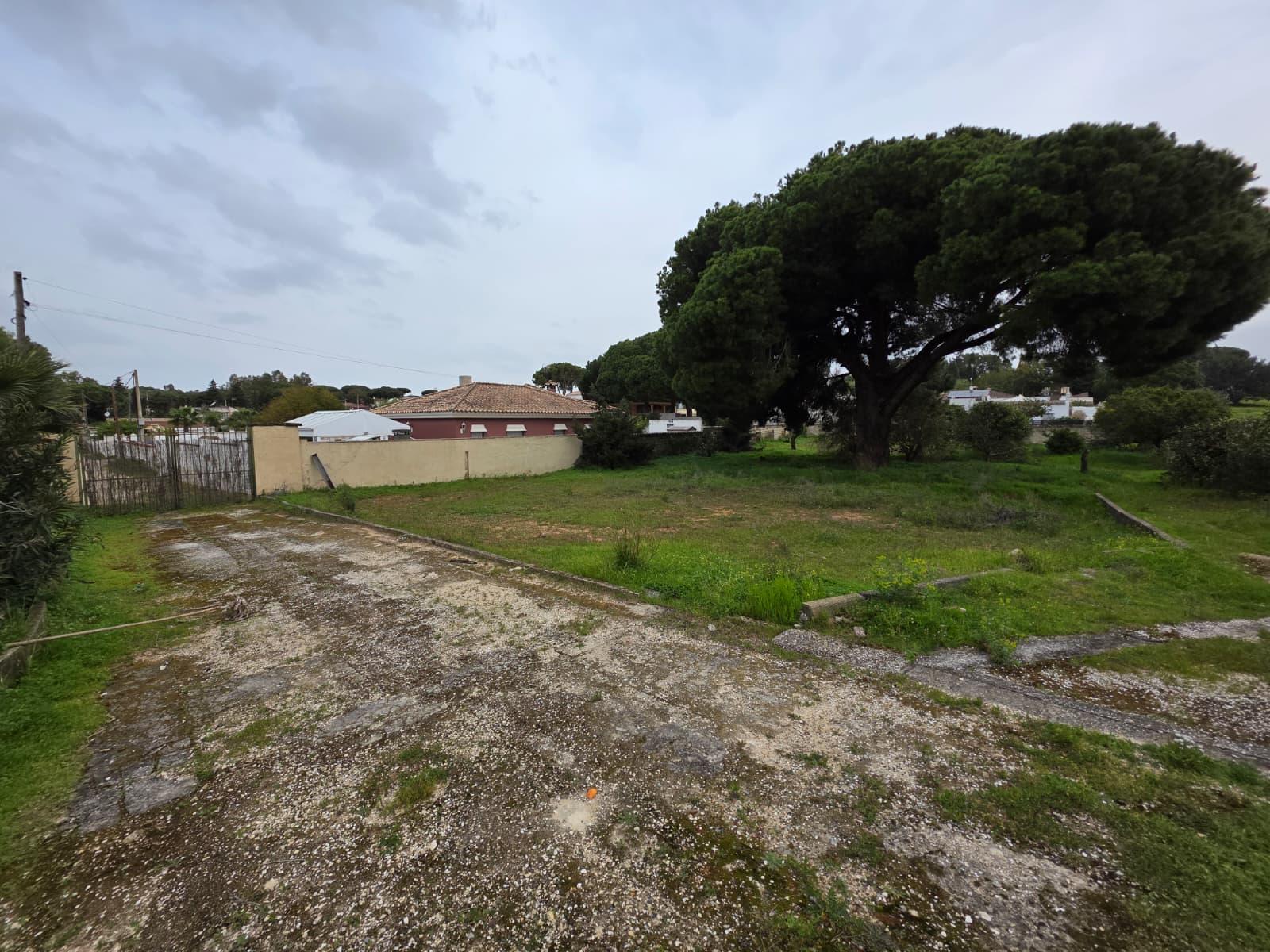 Imagen 6 Casa Rústica en venta en Chiclana De La Frontera / Pinar de los franceses, C.C puerta de C...