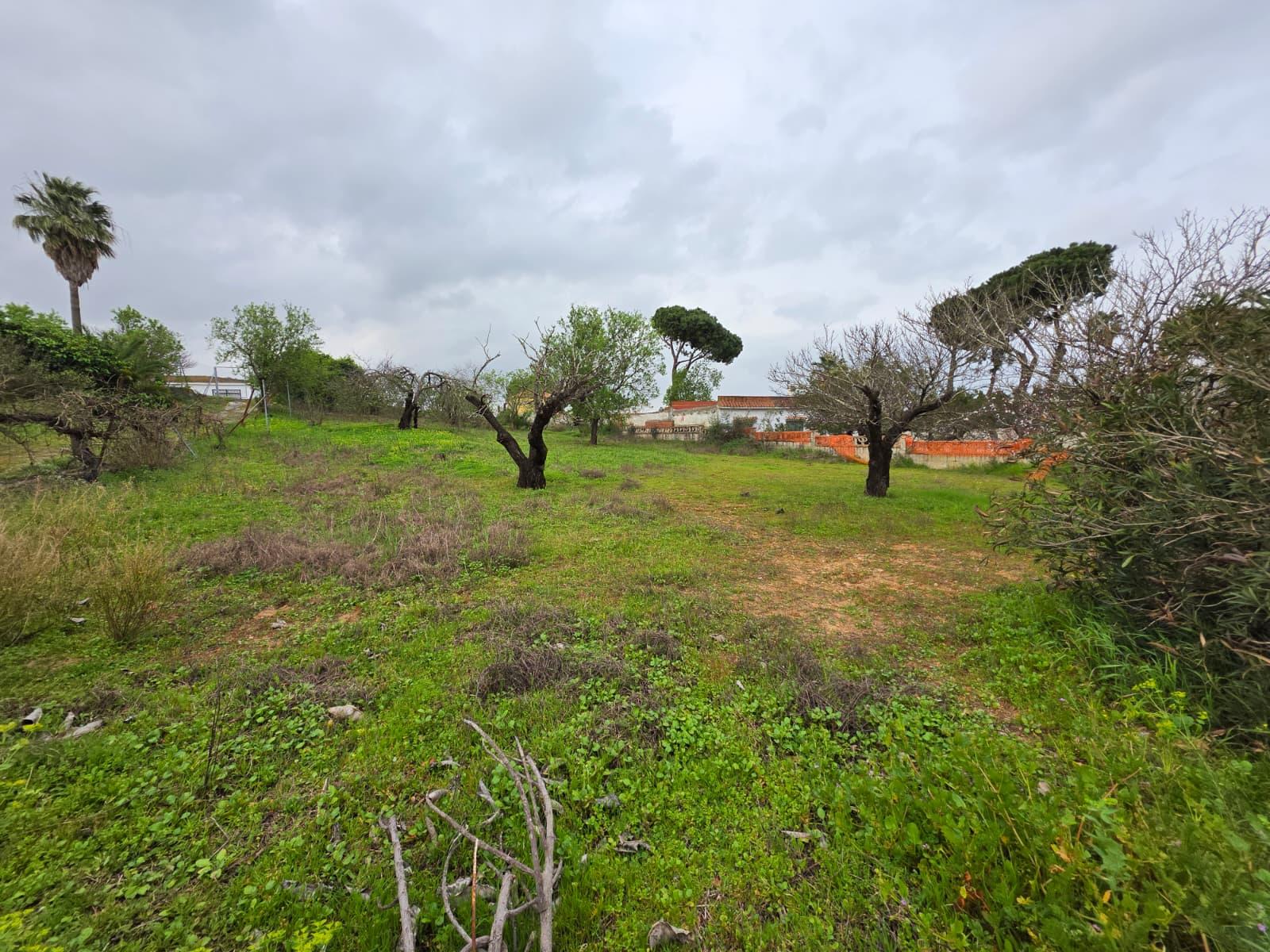 Imagen 8 Casa Rústica en venta en Chiclana De La Frontera / Pinar de los franceses, C.C puerta de C...