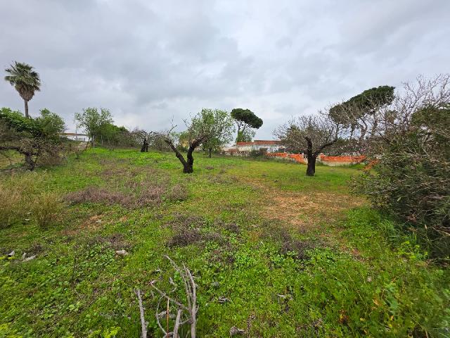 Imagen 8 Inmueble 301463 - Casa Rústica en venta en Chiclana De La Frontera / Pinar de los franceses, C.C puerta de C...