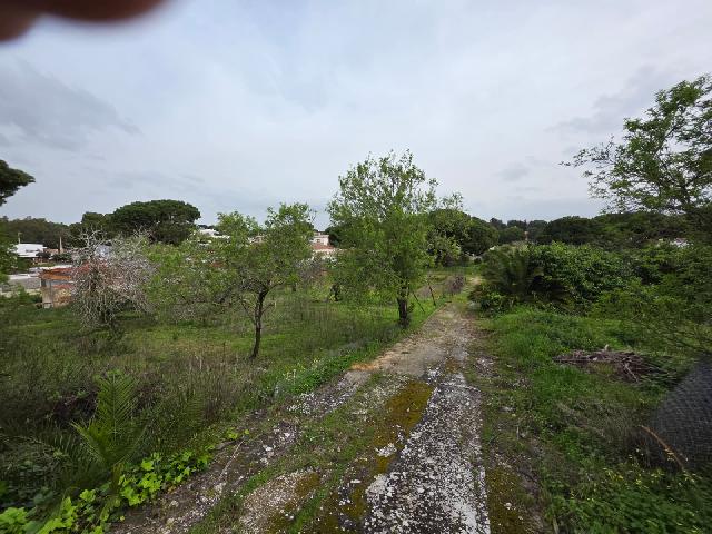 Imagen 10 Inmueble 301463 - Casa Rústica en venta en Chiclana De La Frontera / Pinar de los franceses, C.C puerta de C...