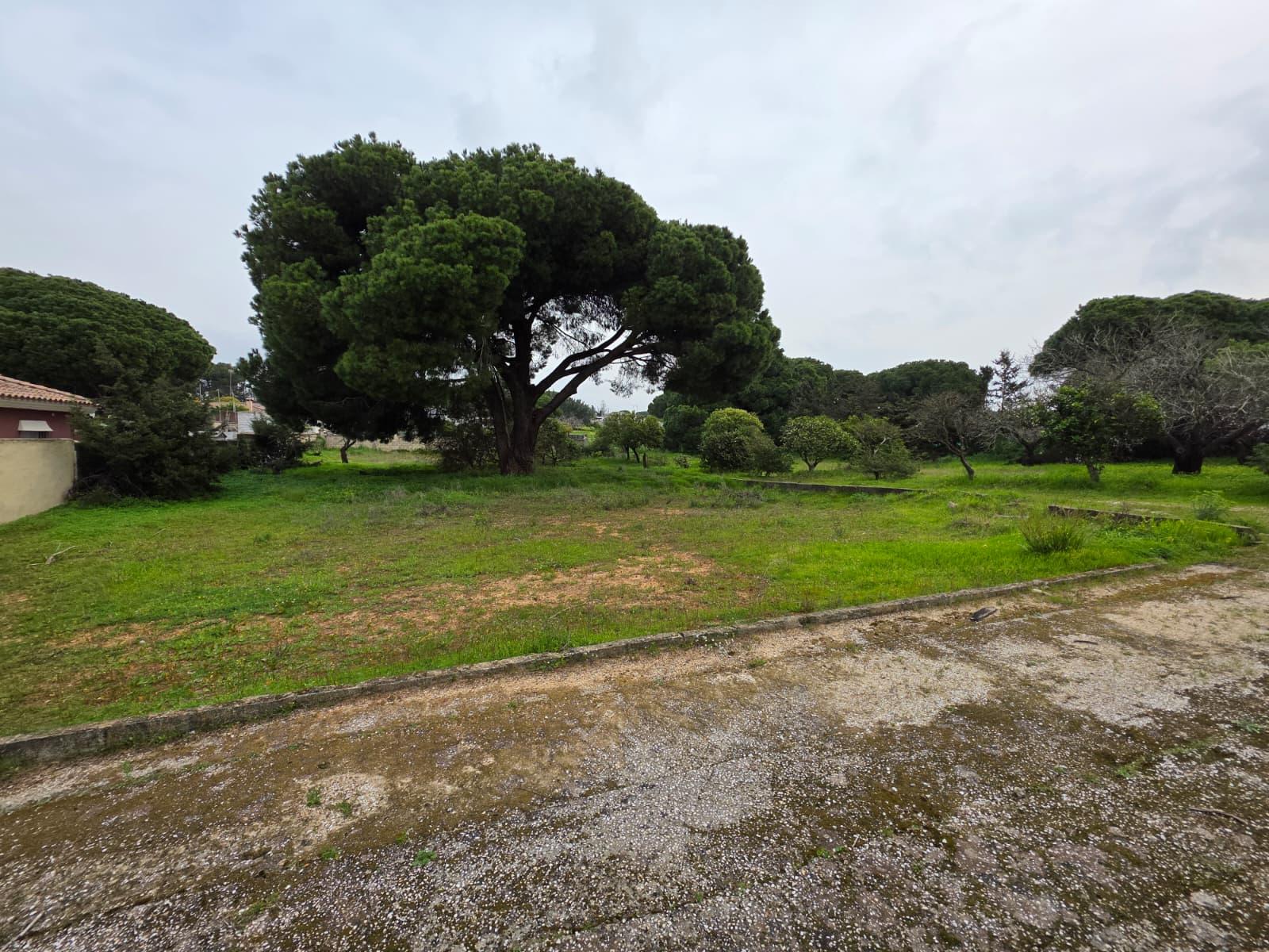Imagen 11 Casa Rústica en venta en Chiclana De La Frontera / Pinar de los franceses, C.C puerta de C...