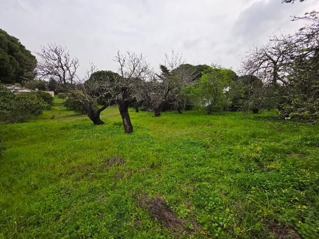 Imagen 9 Inmueble 301463 - Casa Rústica en venta en Chiclana De La Frontera / Pinar de los franceses, C.C puerta de C...