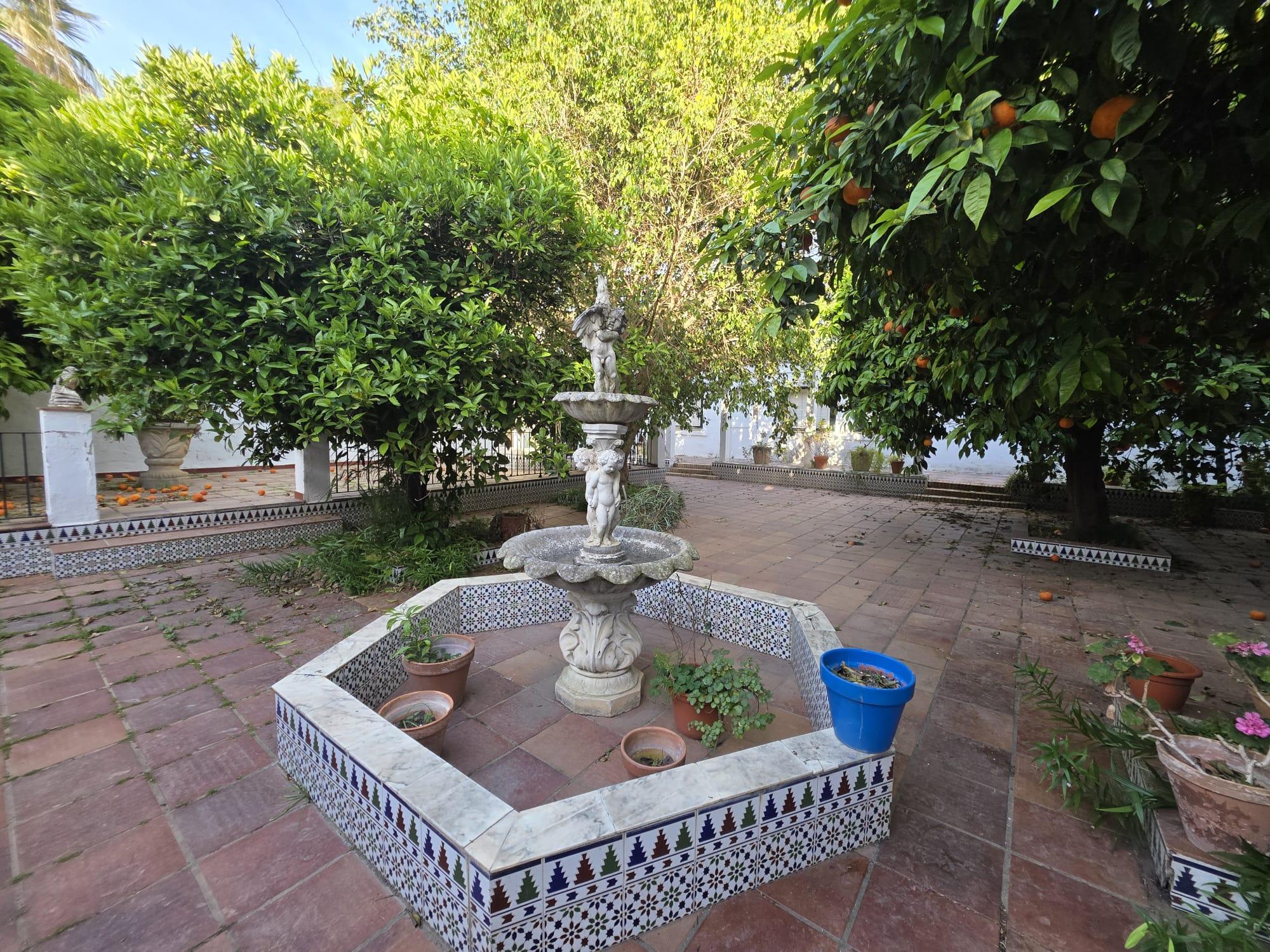 Imagen 3 Casa Pareada en venta en Puerto Real / Centro histórico  de Puerto Real 