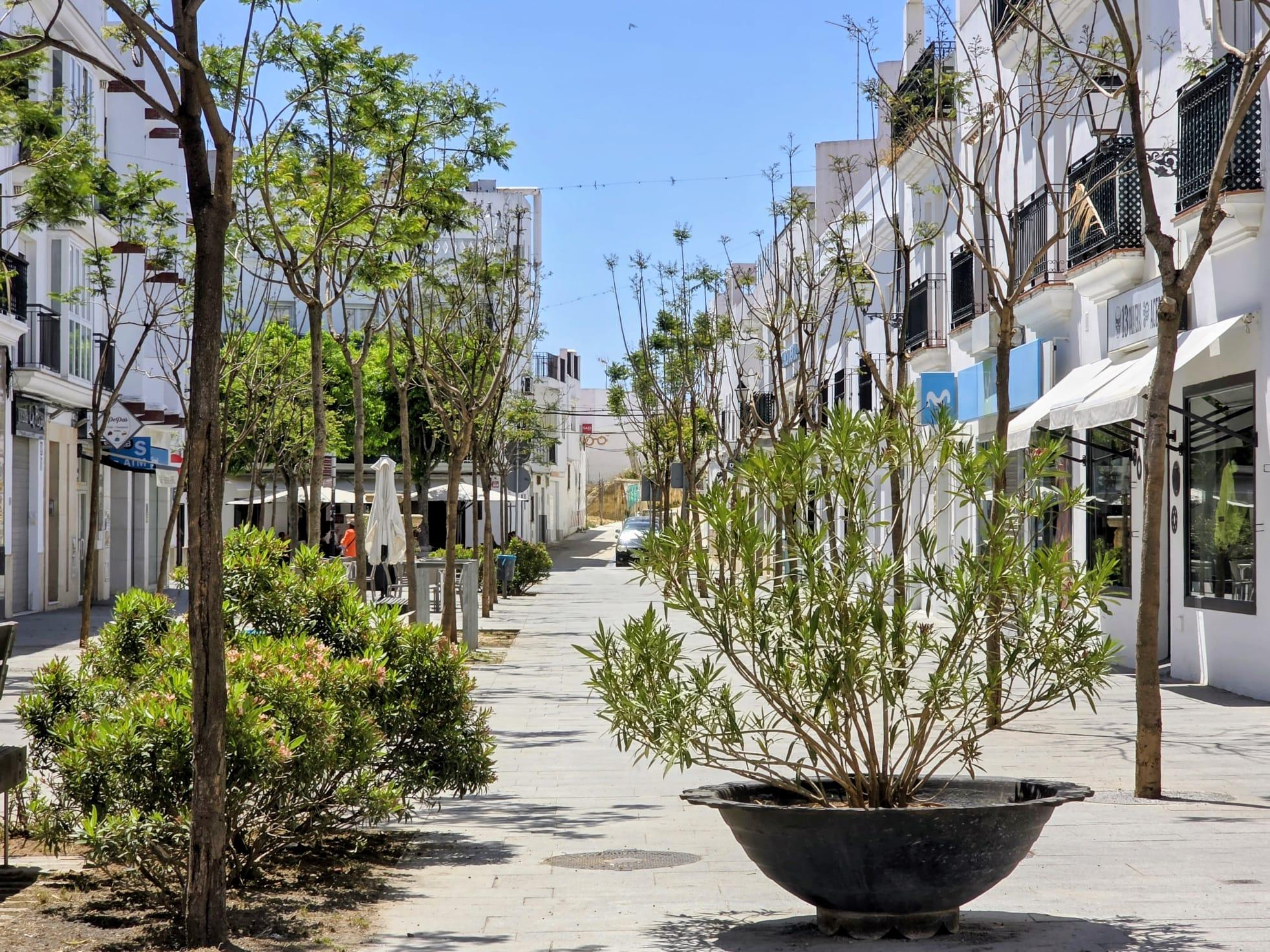 Imagen 29 Apartamento en venta en Conil De La Frontera /  Zona preferida por los conileños  cerca de...