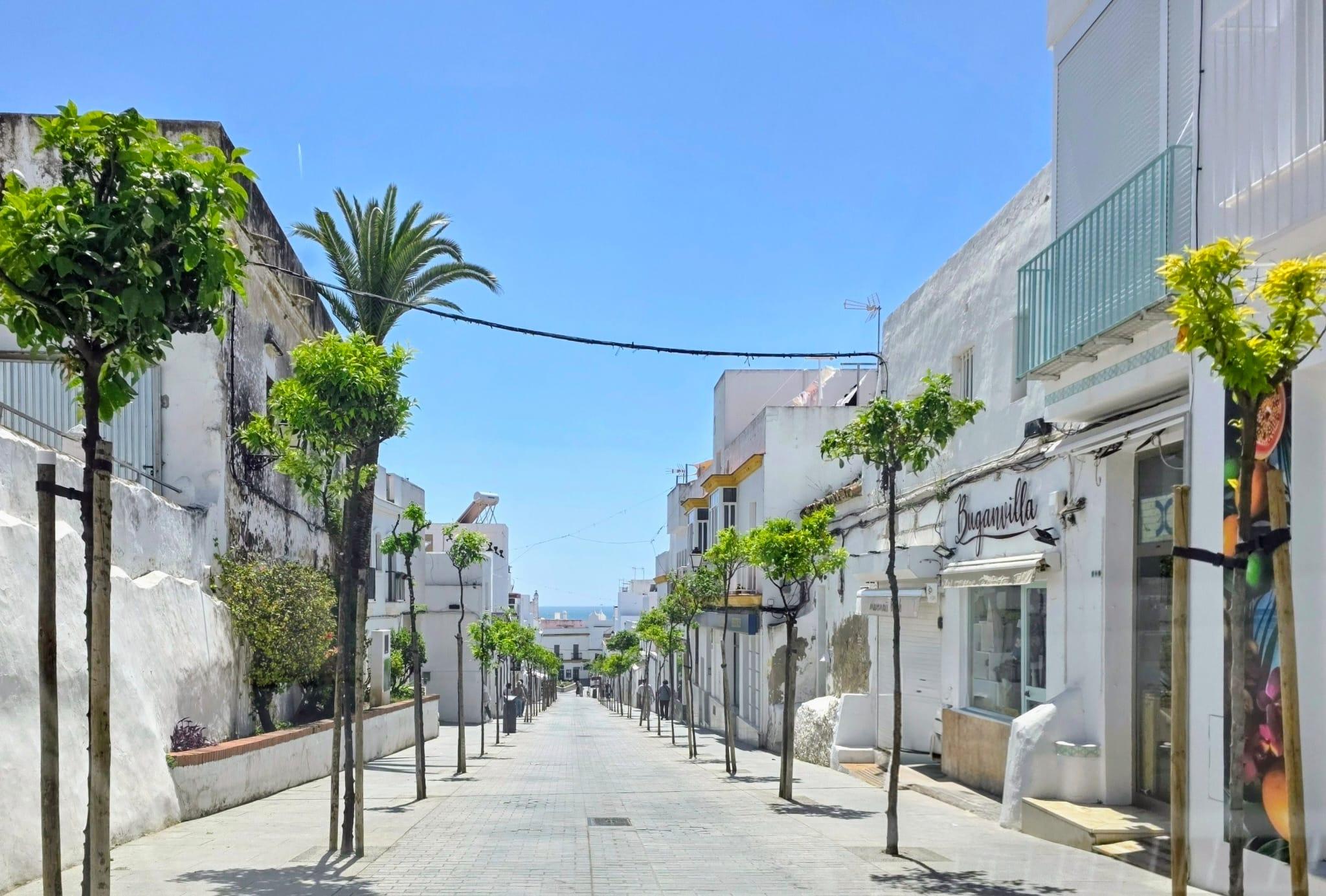 Imagen 16 Apartamento en venta en Conil De La Frontera /  Zona preferida por los conileños  cerca de...