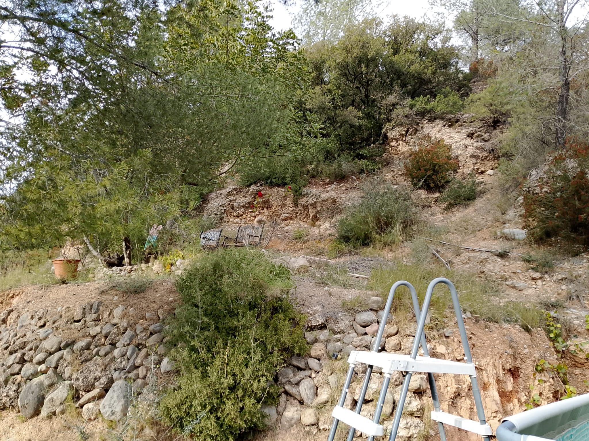 Imagen 14 Solar Rústico en venta en Figueroles / Carretera rio Lucena, a un kilómetro del pueblo