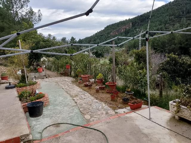 Imagen 22 Inmueble 300740 - Solar Rústico en venta en Figueroles / Carretera rio Lucena, a un kilómetro del pueblo