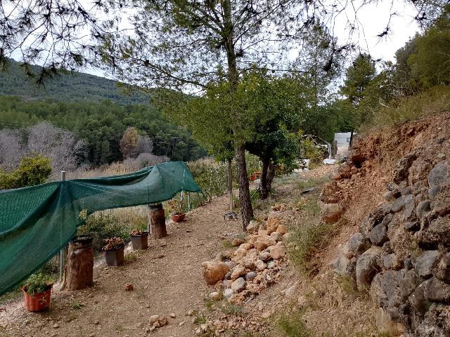 Imagen 16 Inmueble 300740 - Solar Rústico en venta en Figueroles / Carretera rio Lucena, a un kilómetro del pueblo