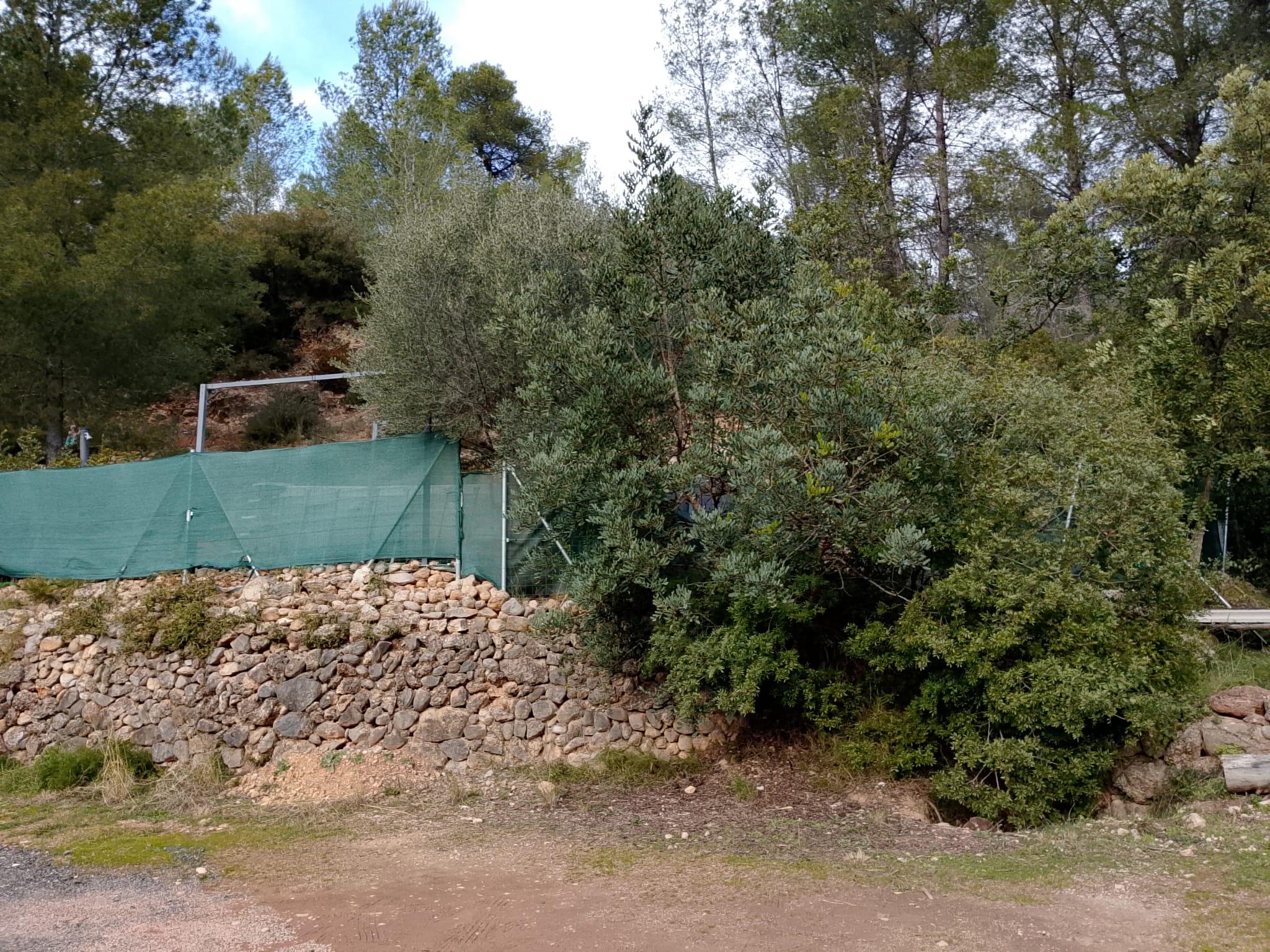 Imagen 2 Solar Rústico en venta en Figueroles / Diirección Lucena del Cil, a 1 kmt del pueblo