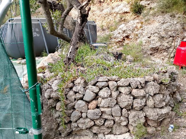 Imagen 3 Inmueble 300780 - Solar Rústico en venta en Figueroles / Diirección Lucena del Cil, a 1 kmt del pueblo