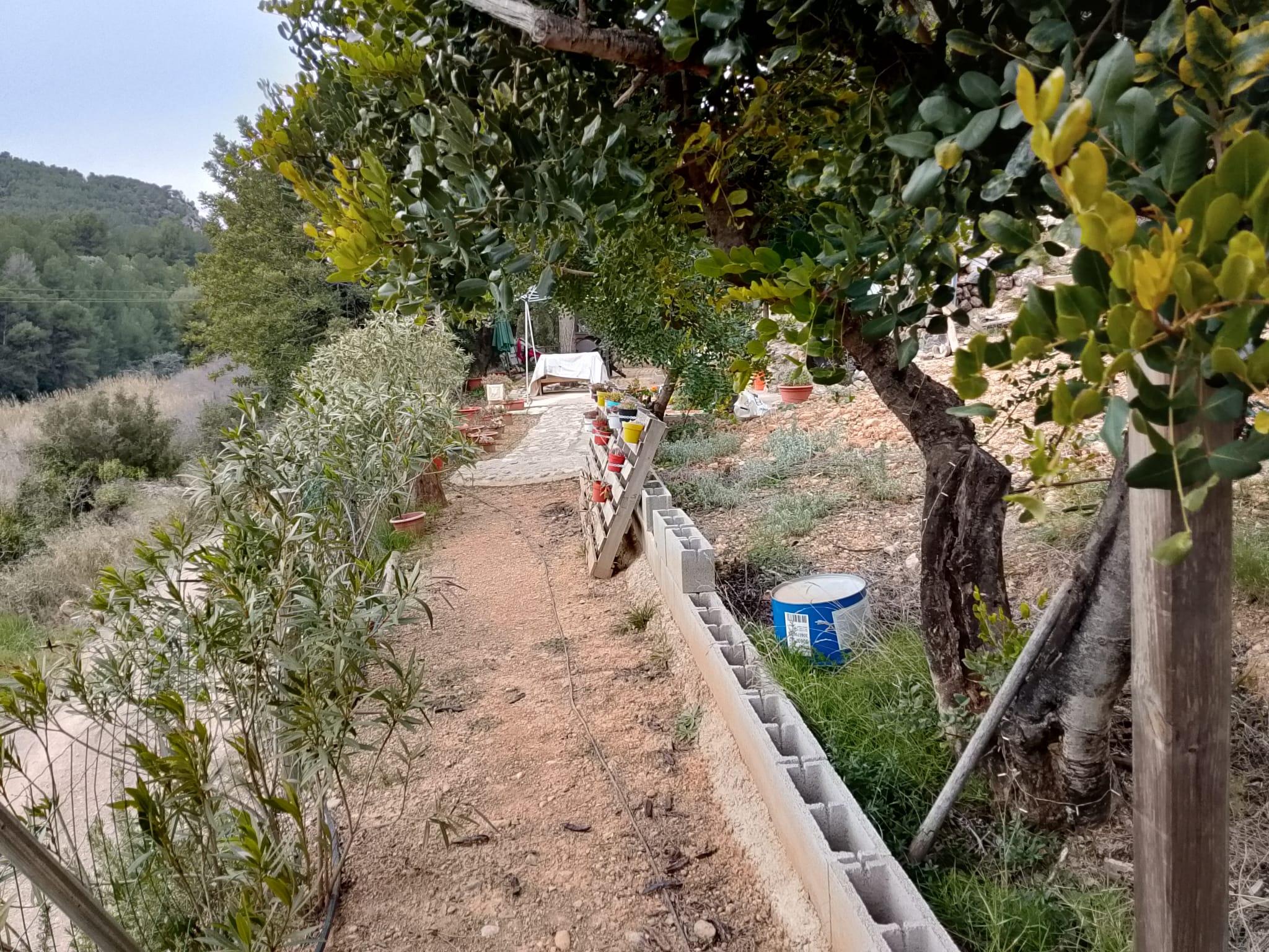 Imagen 8 Solar Rústico en venta en Figueroles / Diirección Lucena del Cil, a 1 kmt del pueblo