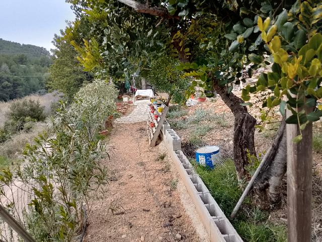 Imagen 8 Inmueble 300780 - Solar Rústico en venta en Figueroles / Diirección Lucena del Cil, a 1 kmt del pueblo